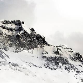 Winter minimalist black and white wallpaper