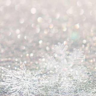 Elegant winter wallpaper