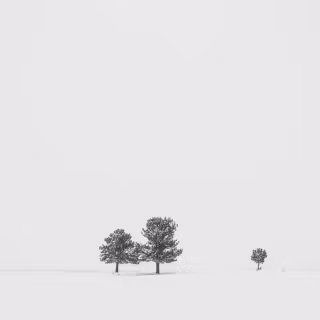 Winter minimalist black and white wallpaper