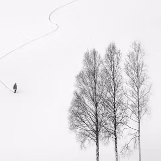 Winter minimalist black and white wallpaper