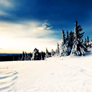 Elegant winter wallpaper