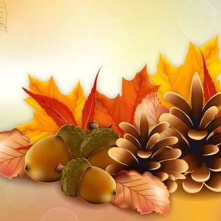 Vector Thanksgiving wallpaper