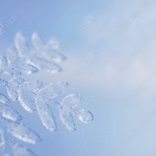 Elegant winter wallpaper