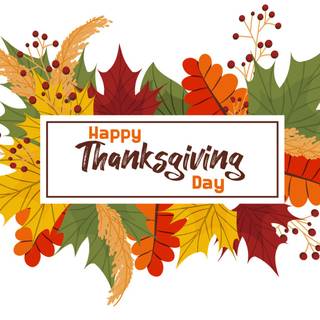 Vector Thanksgiving wallpaper