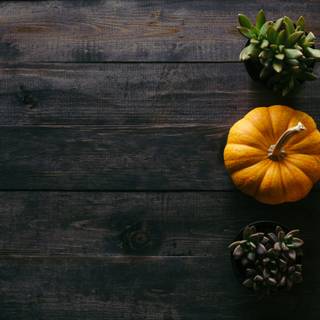 Thanksgiving food desktop wallpaper
