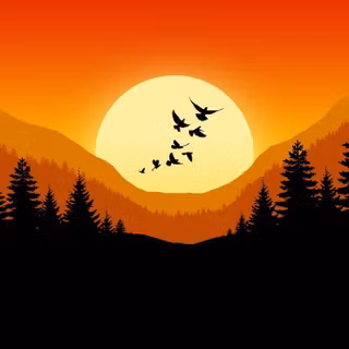 Sunset vector wallpaper