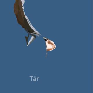 Tár movie wallpaper