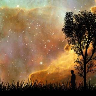 Doctor Who David Tennant wallpaper