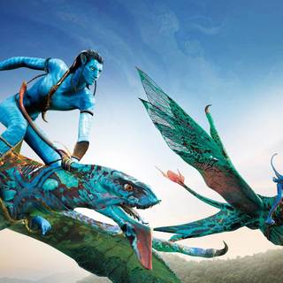 Avatar HD wallpaper