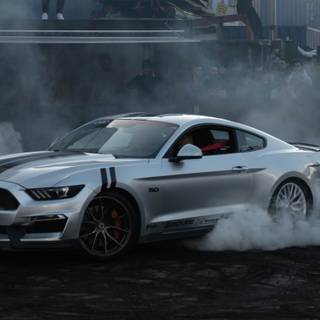 Mustang HD wallpaper