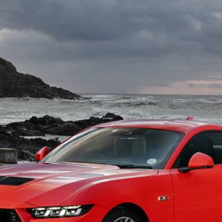 Mustang HD wallpaper