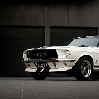 Mustang HD wallpaper