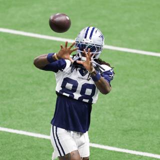 Cedarian DeLeon Lamb wallpaper