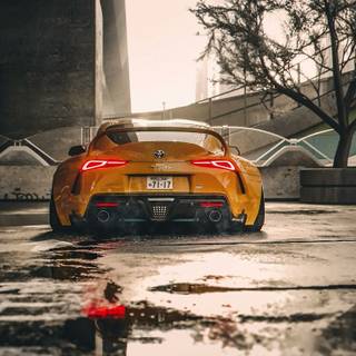 Supra animated wallpaper