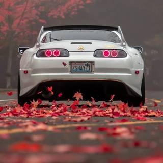 Supra animated wallpaper