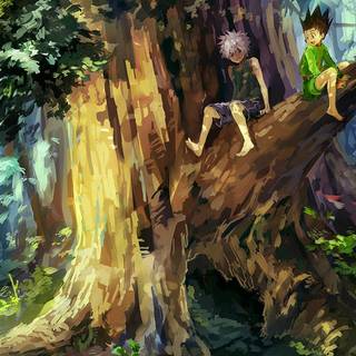 Killua Gon computer wallpaper