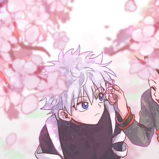 Killua Gon computer wallpaper