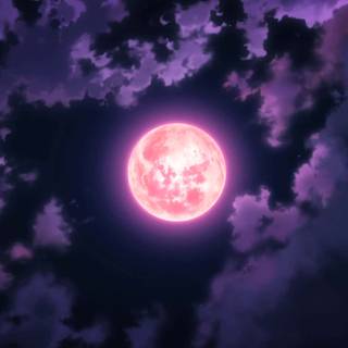 Anime purple night wallpaper