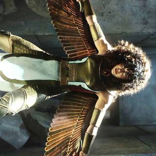 Scarlet Scarab wallpaper