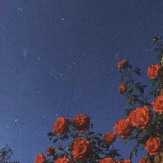 Tumblr iPhone wallpaper