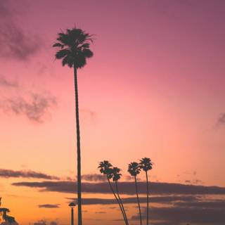 Tumblr iPhone wallpaper