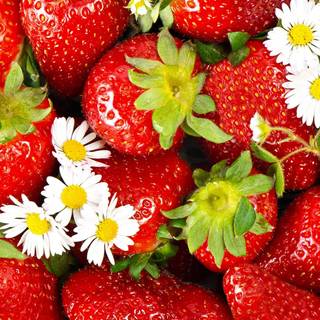 Strawberry desktop wallpaper