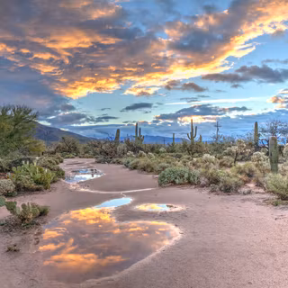Arizona desert wallpaper