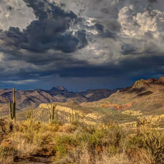 Arizona desert wallpaper