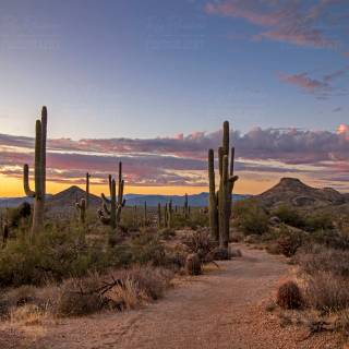 Arizona desert wallpaper
