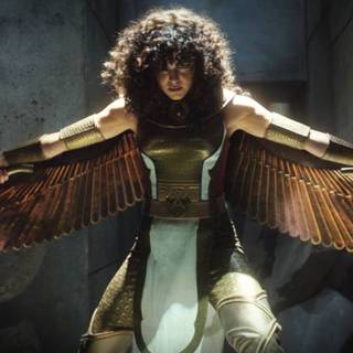 Scarlet Scarab wallpaper