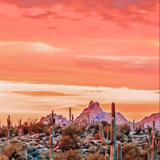 Arizona desert wallpaper