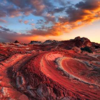 Arizona desert wallpaper