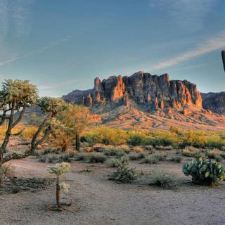 Arizona desert wallpaper