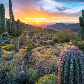 Arizona desert wallpaper