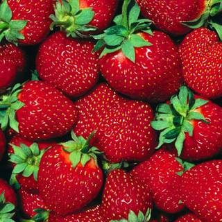 Strawberry desktop wallpaper