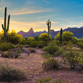 Arizona desert wallpaper