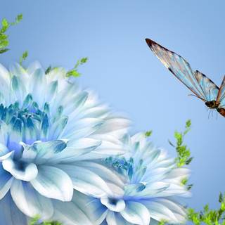 Natural flower wallpaper