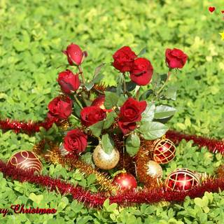 Natural flower wallpaper