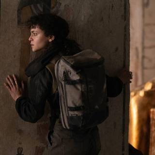 Scarlet Scarab wallpaper