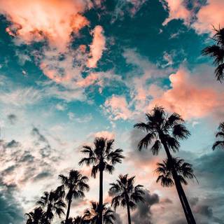 Tumblr iPhone wallpaper