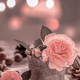 Natural flower wallpaper