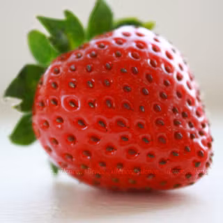 Strawberry desktop wallpaper