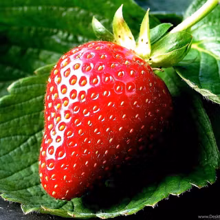 Strawberry desktop wallpaper