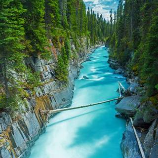 Old Windows 10 wallpaper