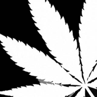Black and white weed wallpaper