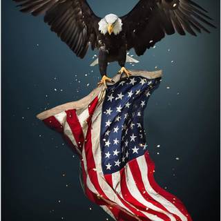 Eagle and American flag wallpaper