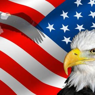 Eagle and American flag wallpaper