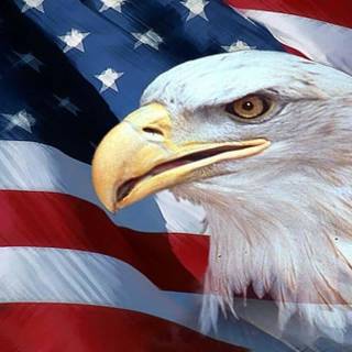 Eagle and American flag wallpaper