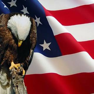Eagle and American flag wallpaper