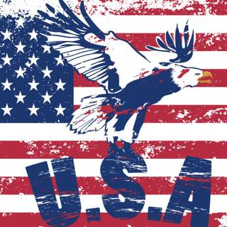 Eagle and American flag wallpaper